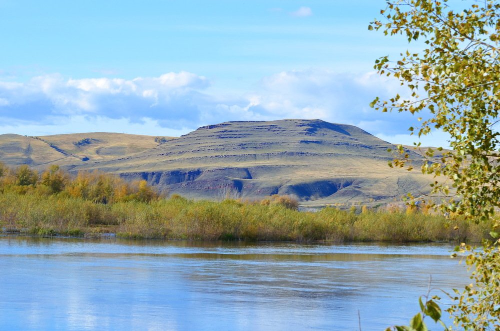 Водная жизнь замирает.