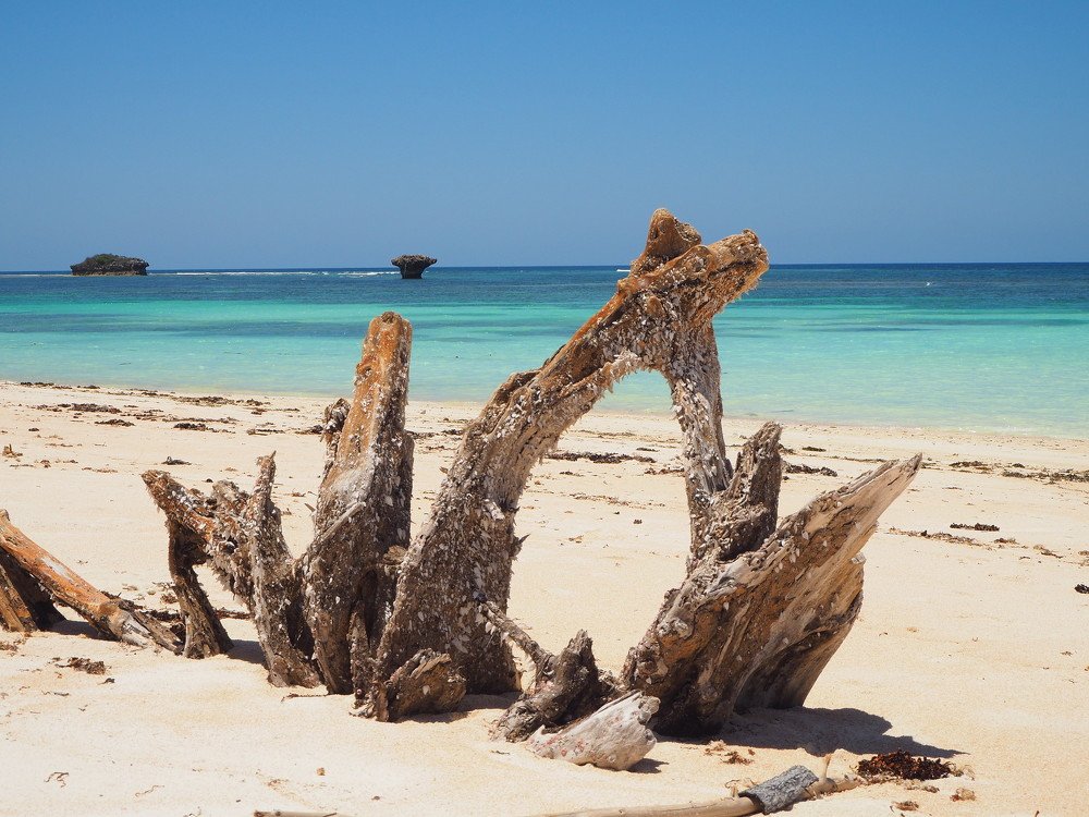 Photograph by Sepriyanto Tunliu