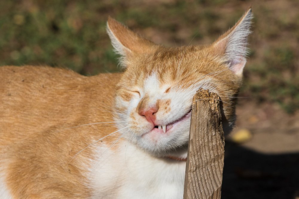 Photograph by Андрей Серый