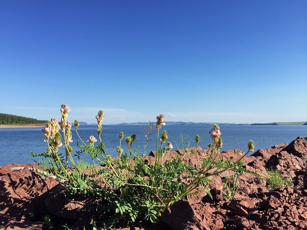 Вода-это жизнь