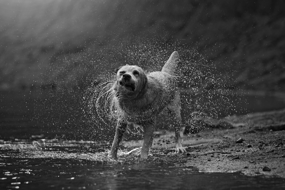 Photograph by Alexandre Marques