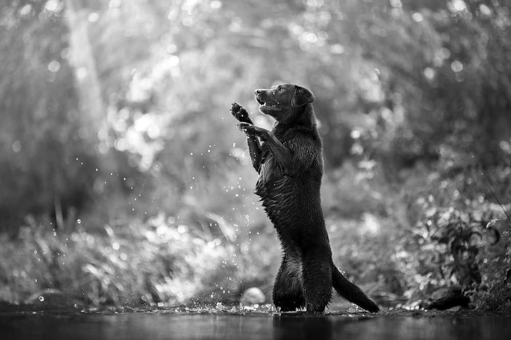 Photograph by Alexandre Marques