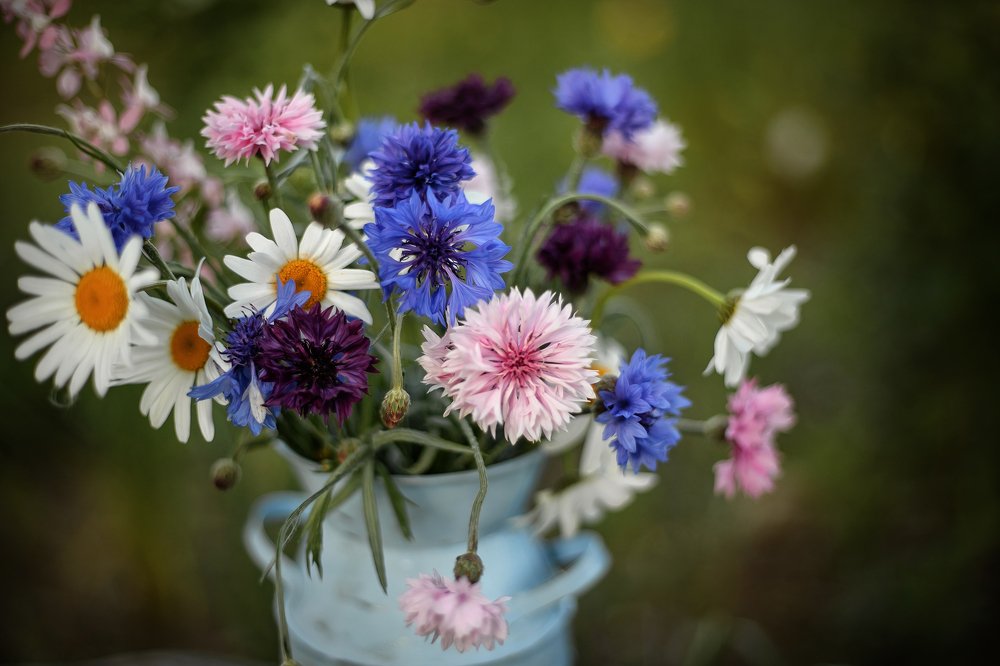 Photograph by Оксана Новицкая