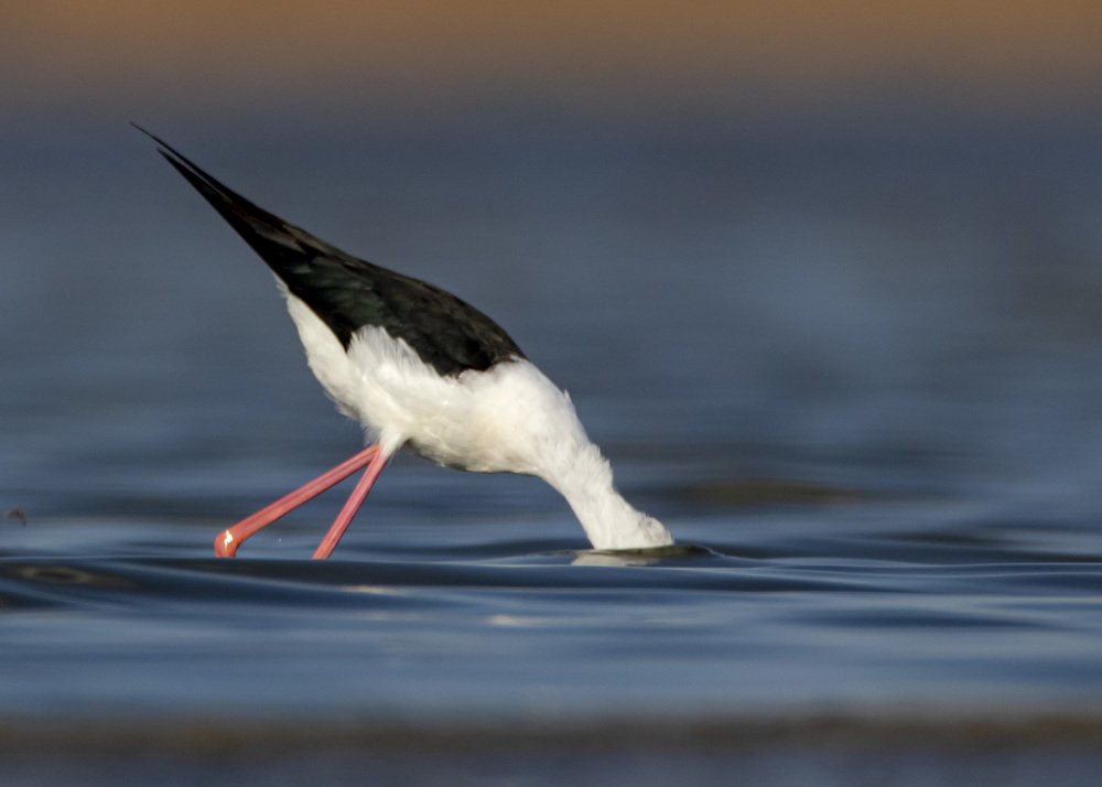 Photograph by Денис Жбир