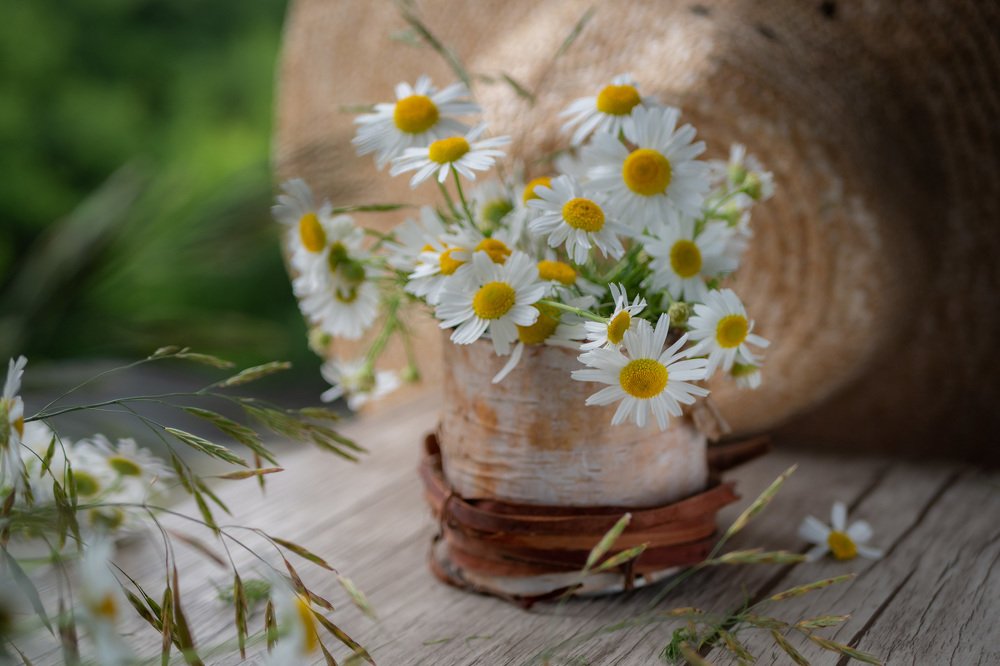 Дыхание лета