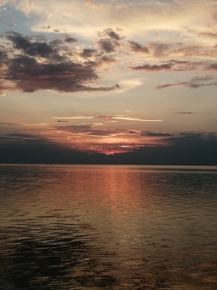 Фотография автора Алла Роденко