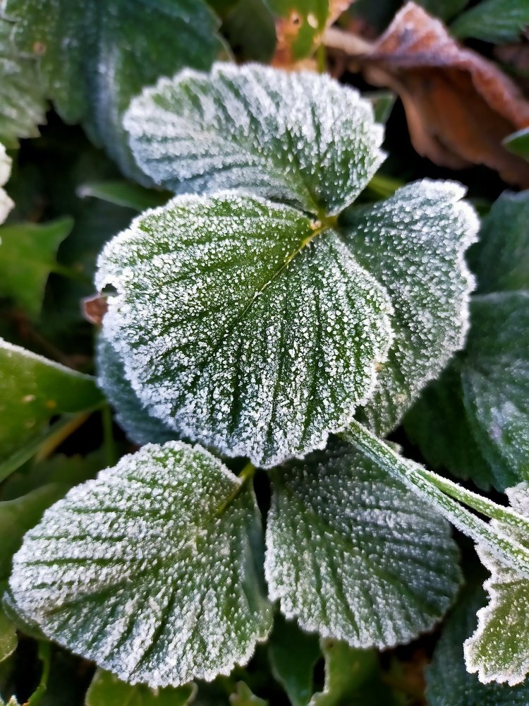 Photograph by Оксана Макарова