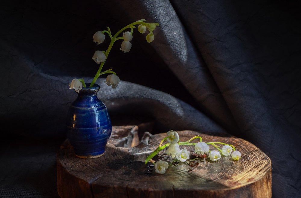 Photograph by Наталья Заровнева