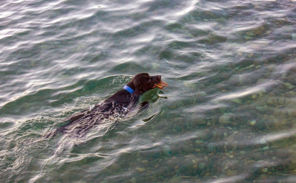 Photograph by vladimir khukhunalshvili