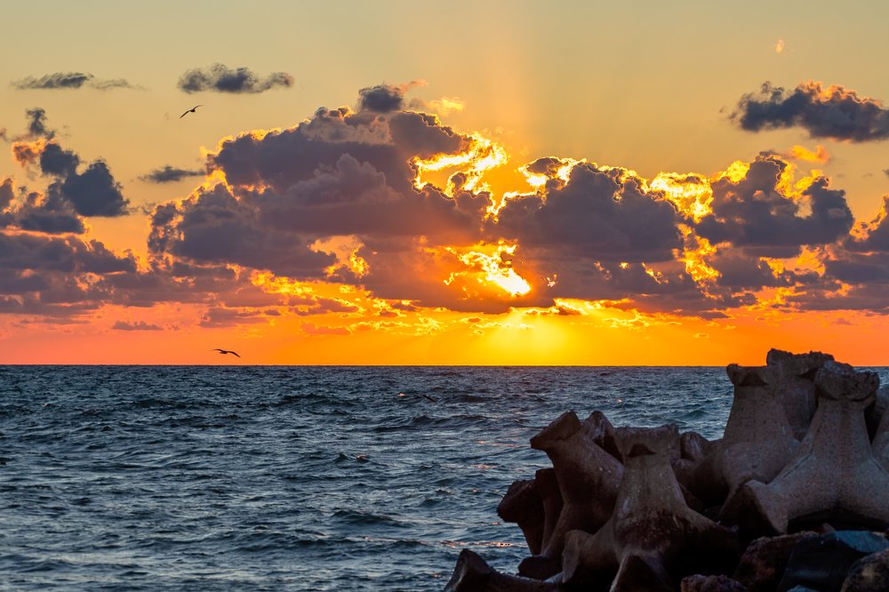 Photograph by Ionut Jarca