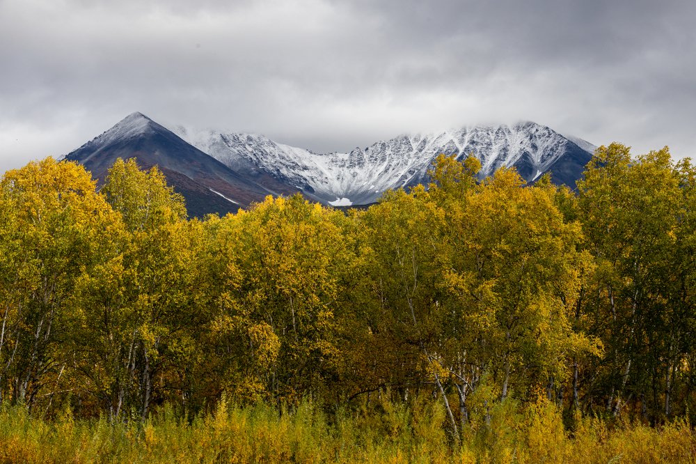 Photograph by Игорь Калинин