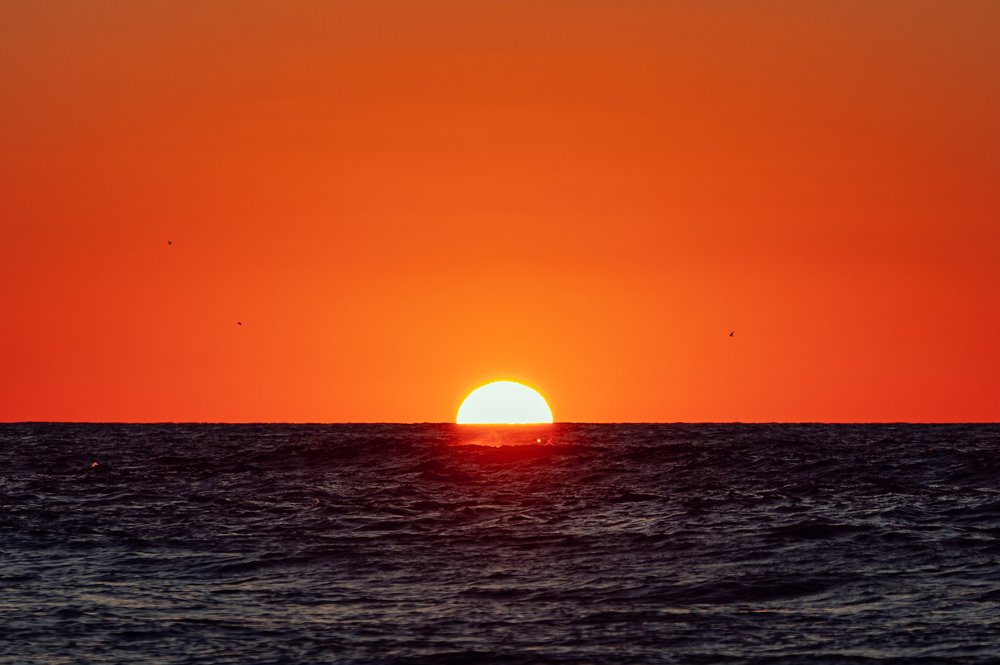 Photograph by Ionut Jarca