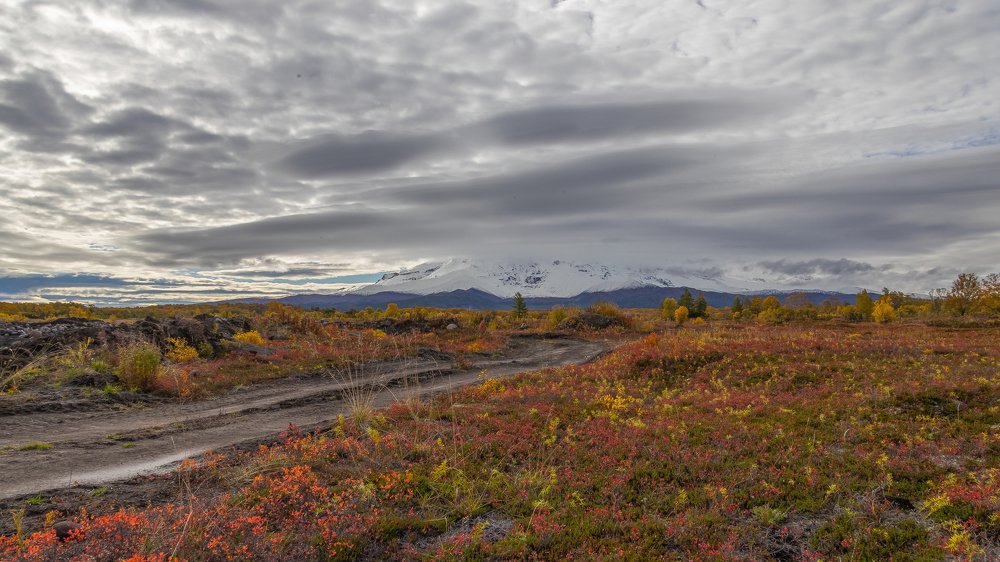 Photograph by Игорь Калинин