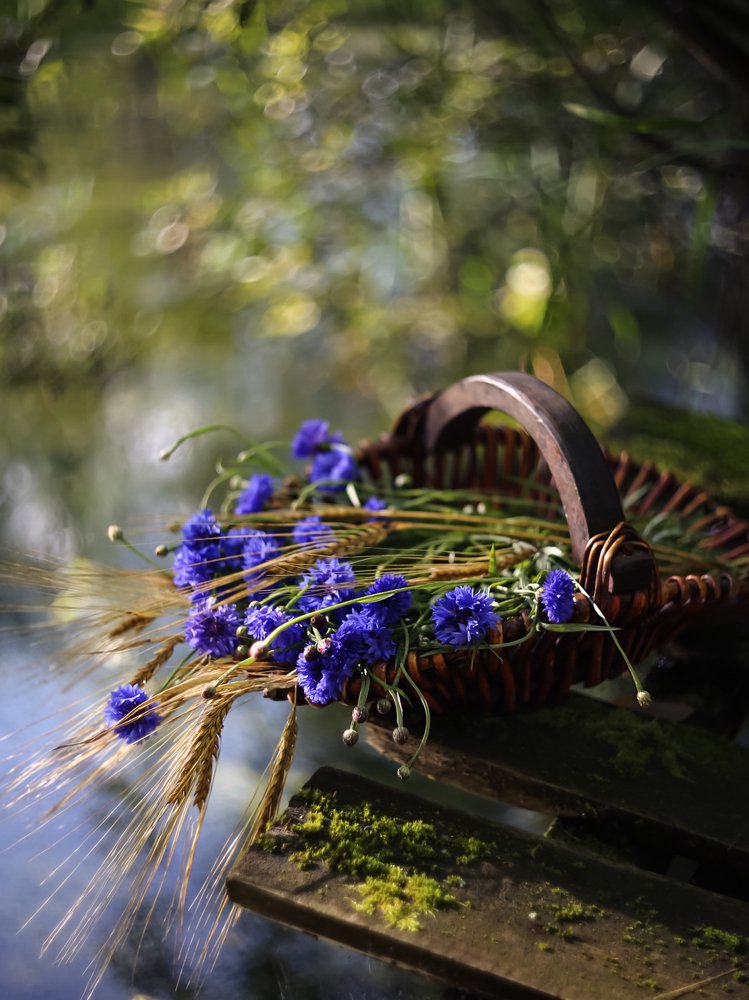 Photograph by Татьяна Кытина