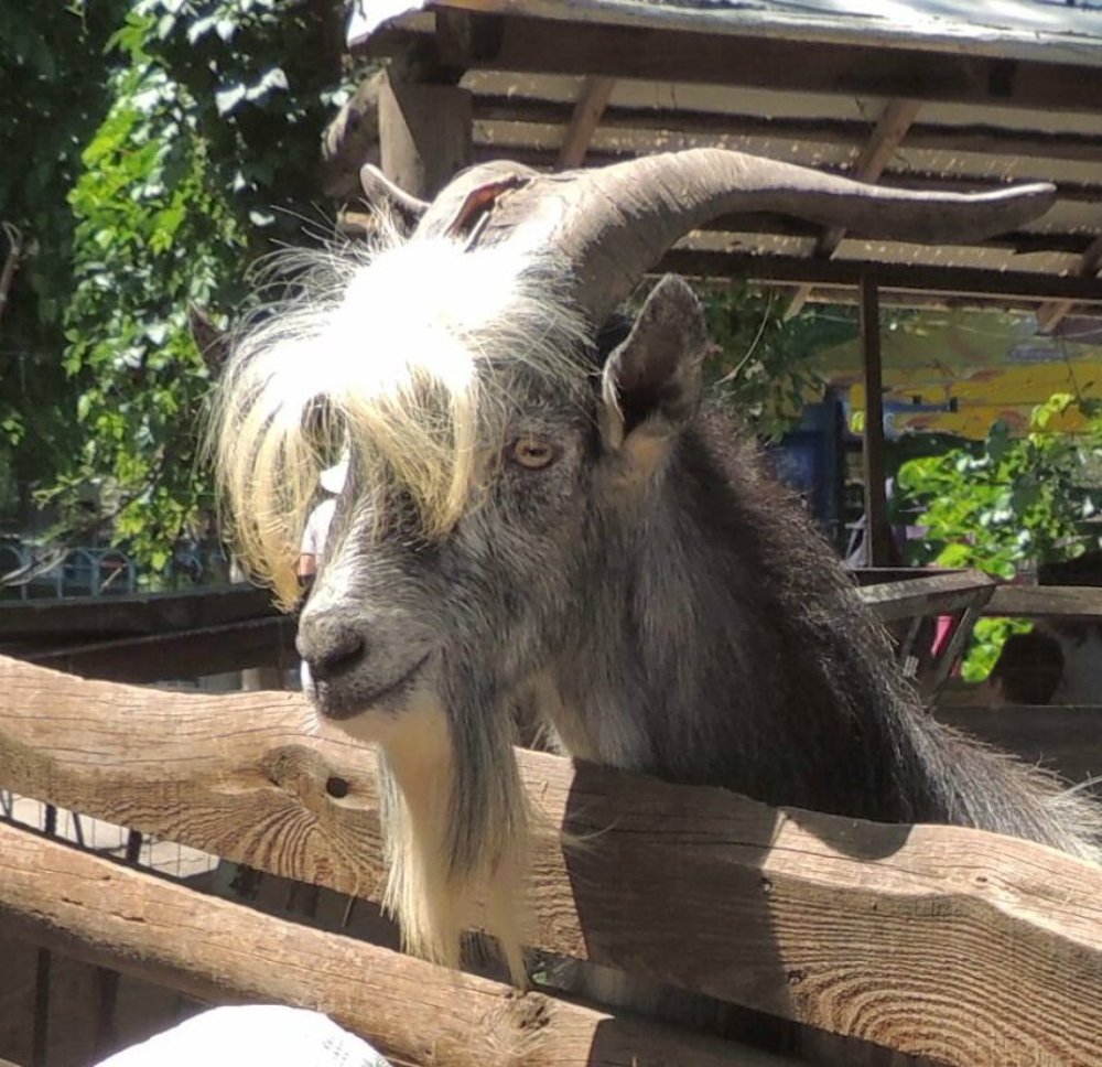 Первый парень на деревне