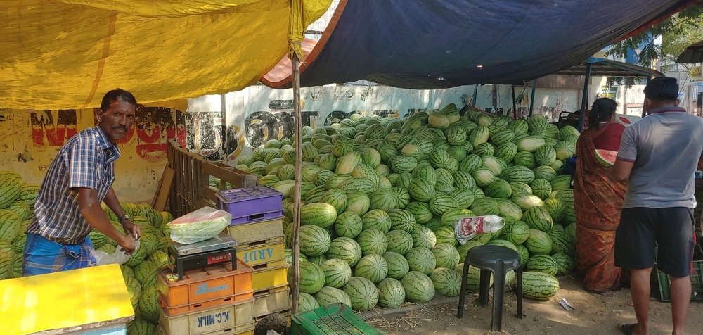 Photograph by Elena Chandran