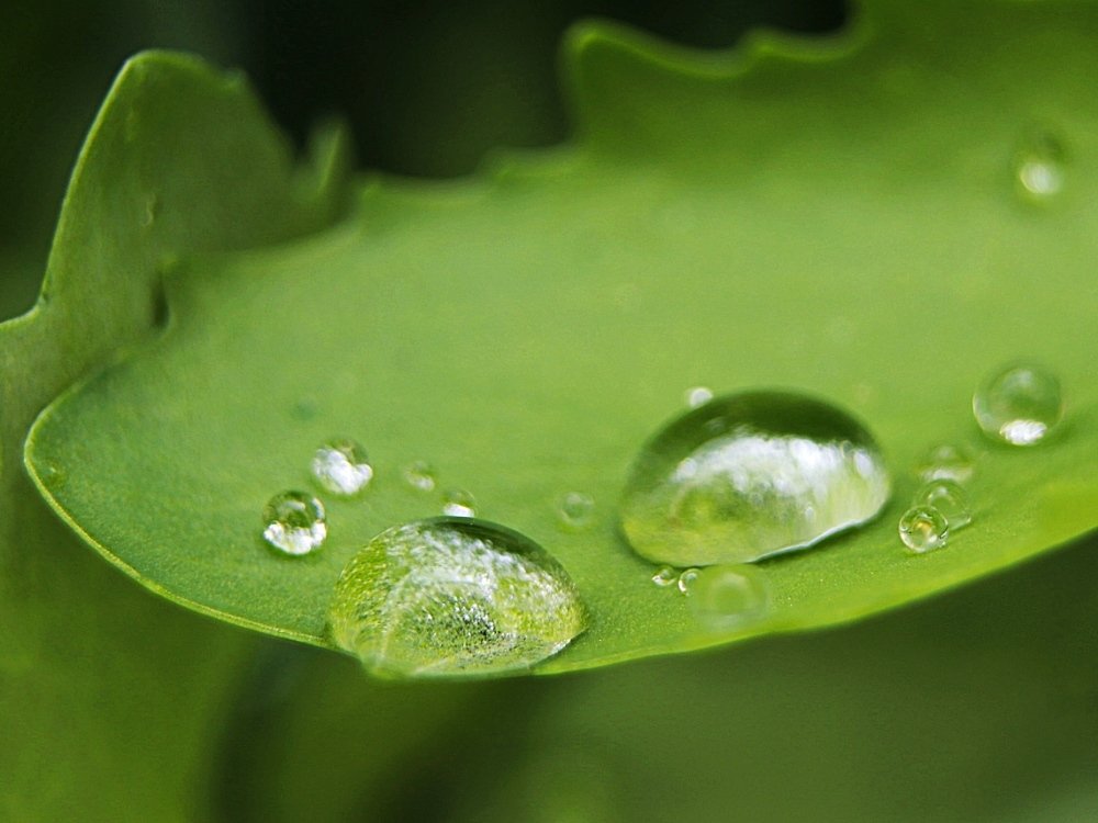 Photograph by Олег Башкуров