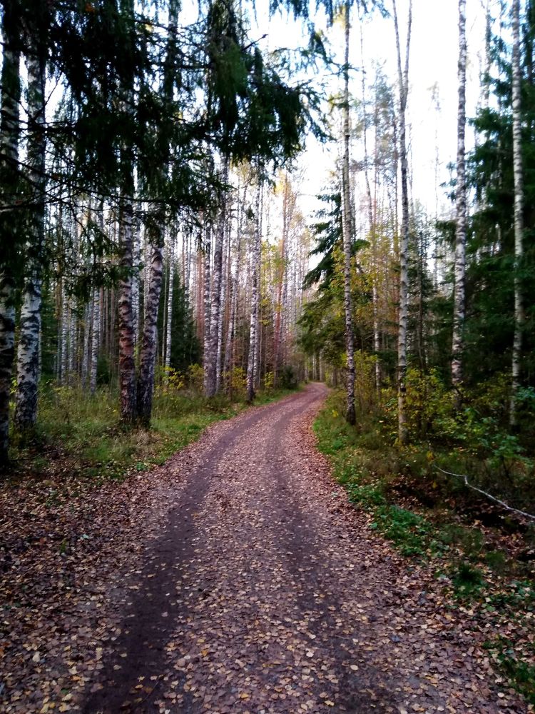 Photograph by Елена Малкова