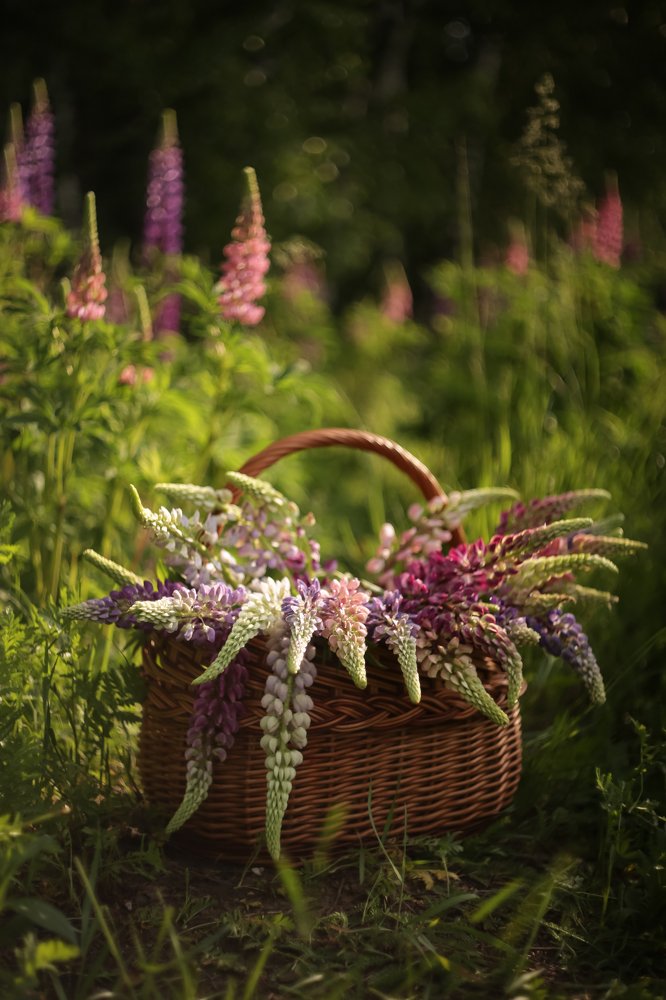 Photograph by Татьяна Кытина