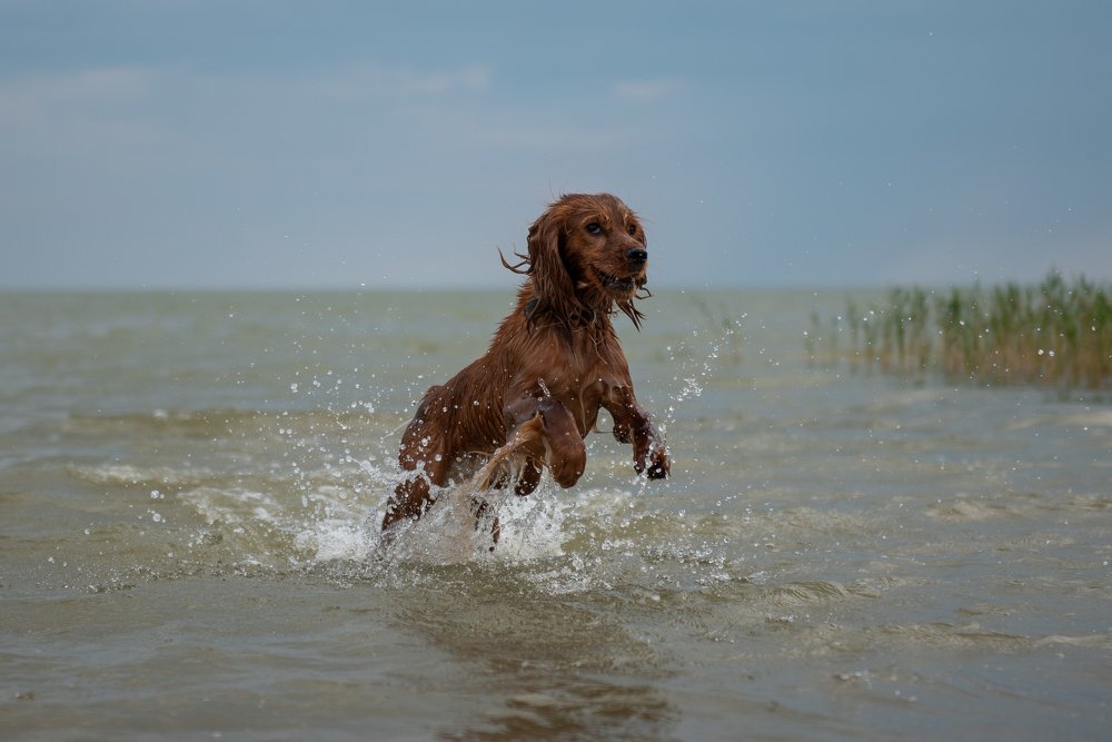 Photograph by Дмитрий Величко