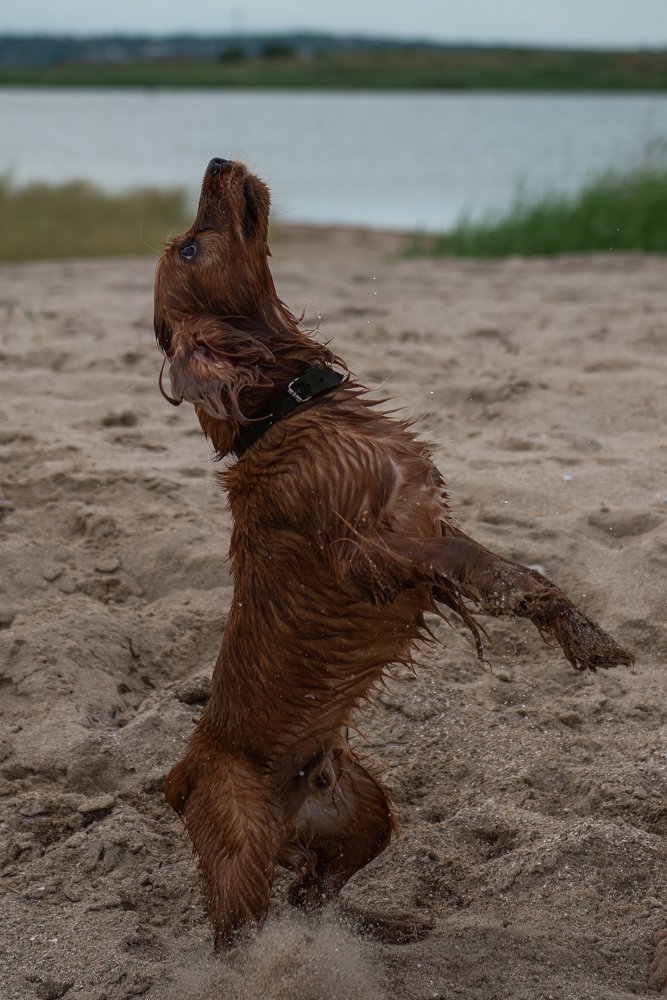 Photograph by Дмитрий Величко