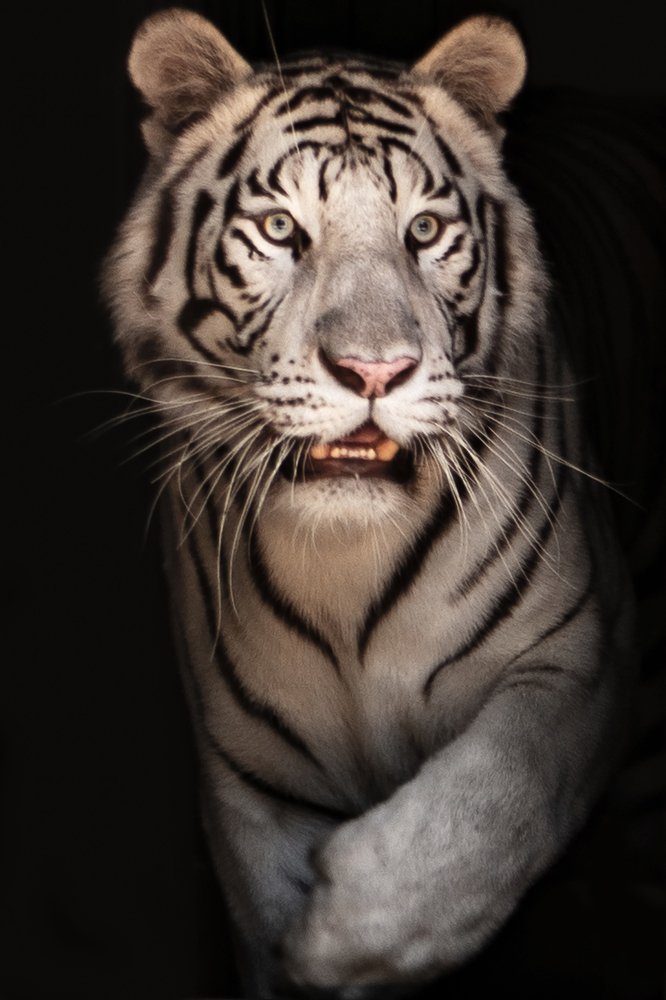 Photograph by Алексей Карпинчик