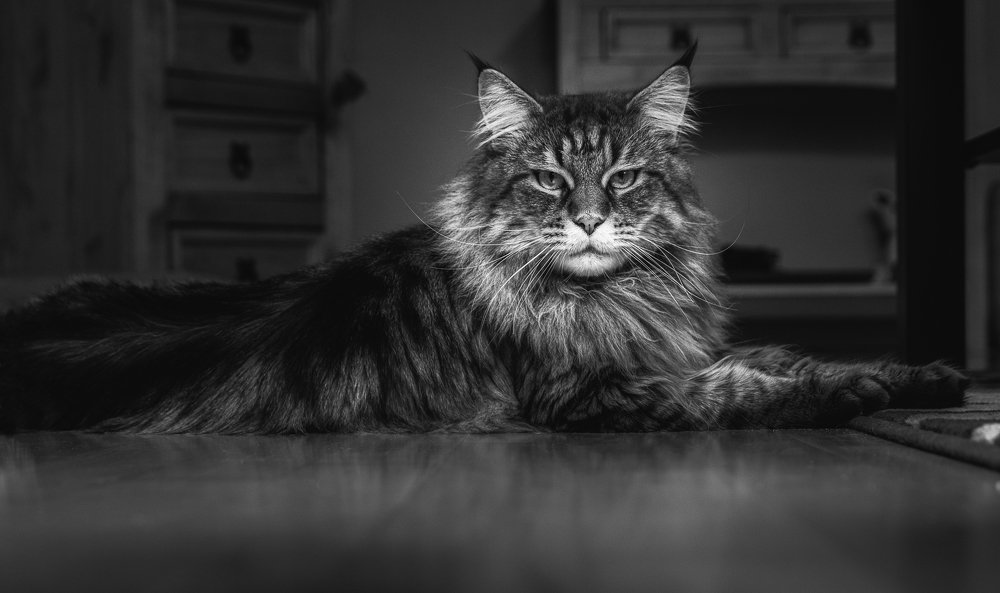 Photograph by Sergey Yakovlev