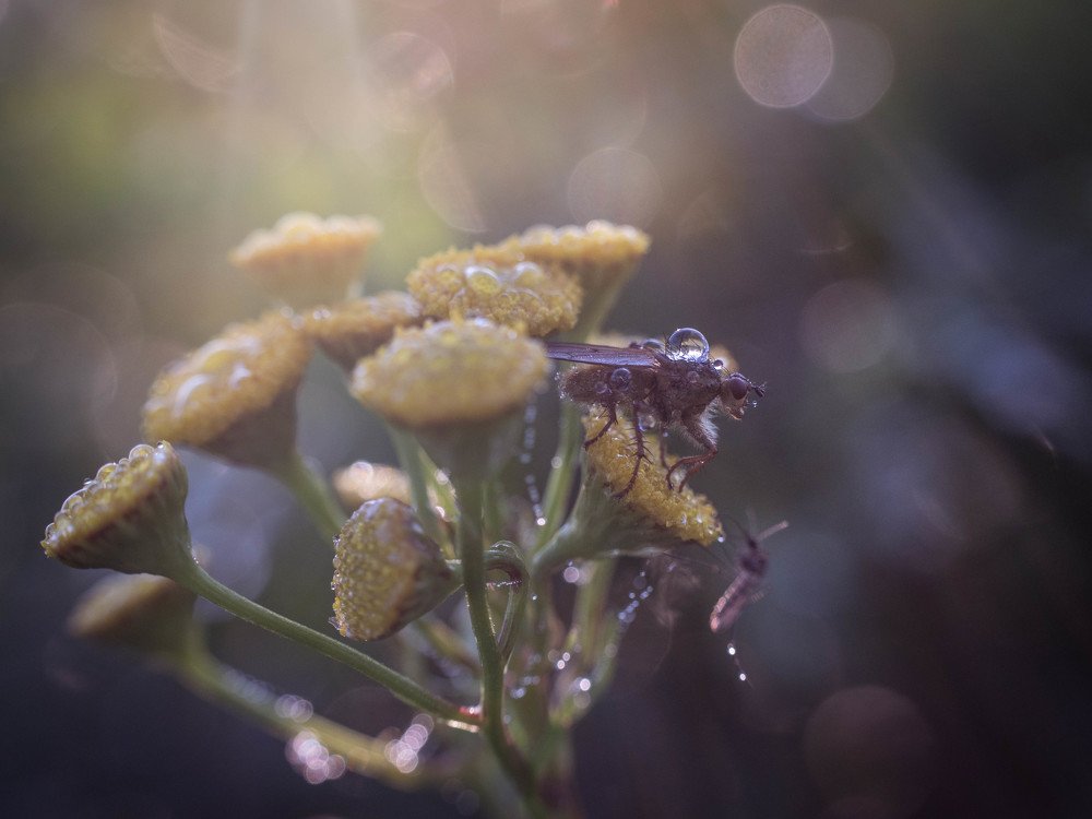 Photograph by Magdalena Wysztygiel