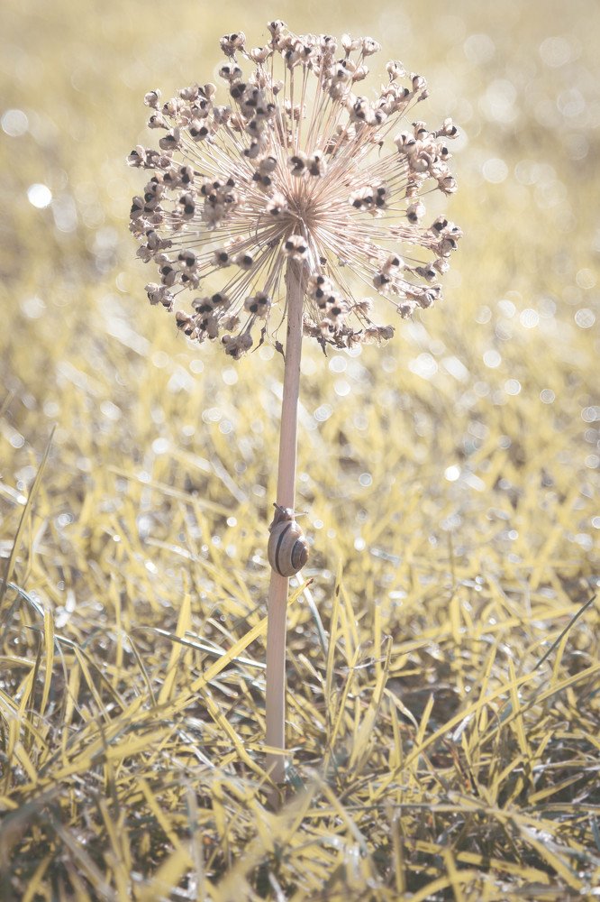 Photograph by Magdalena Wysztygiel