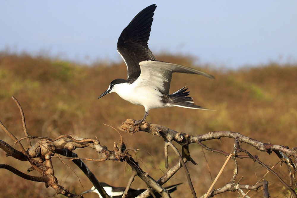 Photograph by Silvaní Hernández