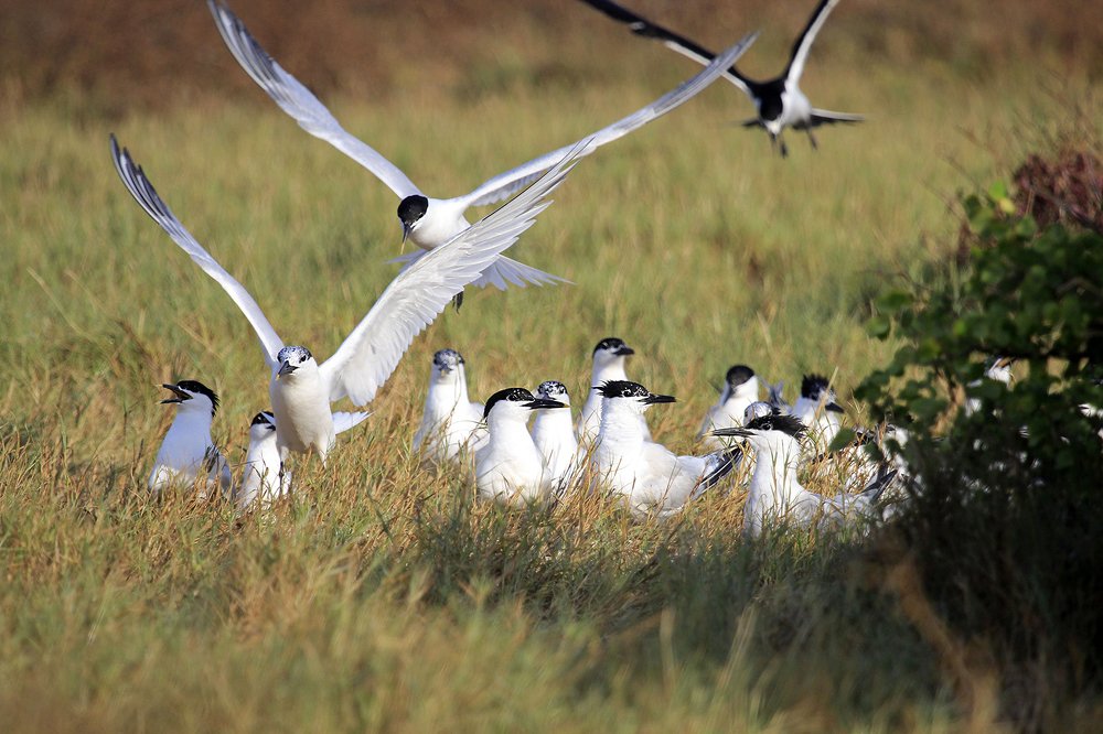 Photograph by Silvaní Hernández