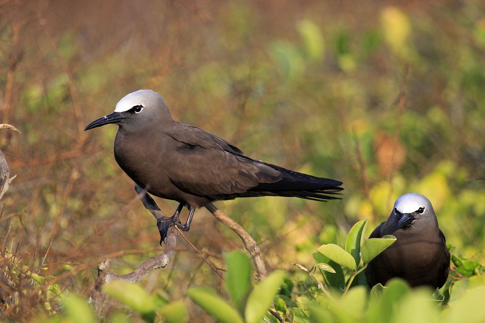 Photograph by Silvaní Hernández