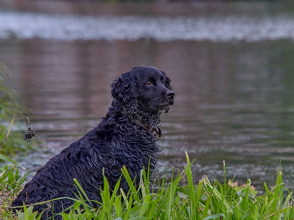 Photograph by Елена Мормоль