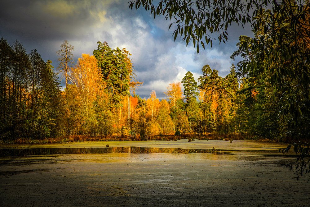 Душевный пожар.