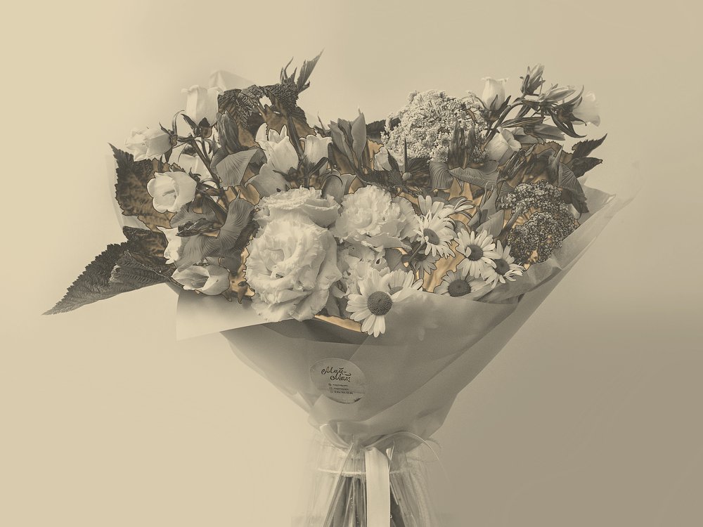 Photograph by Матвей Матвеев