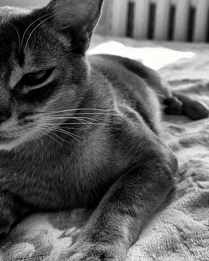 Photograph by Павел Ткаченко