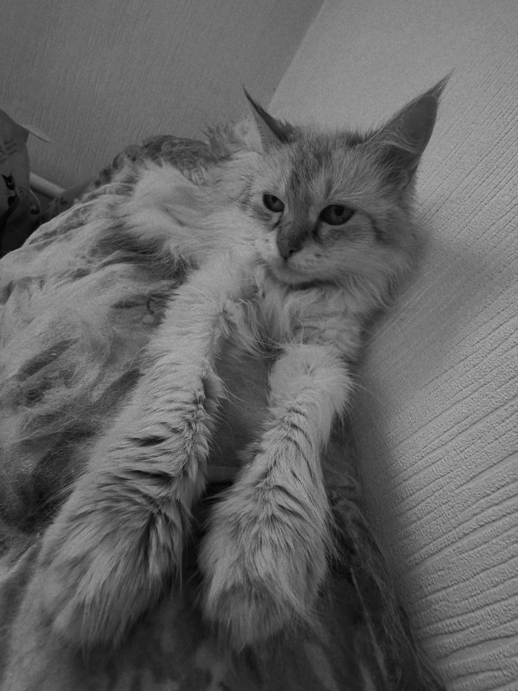 Photograph by Павел Ткаченко