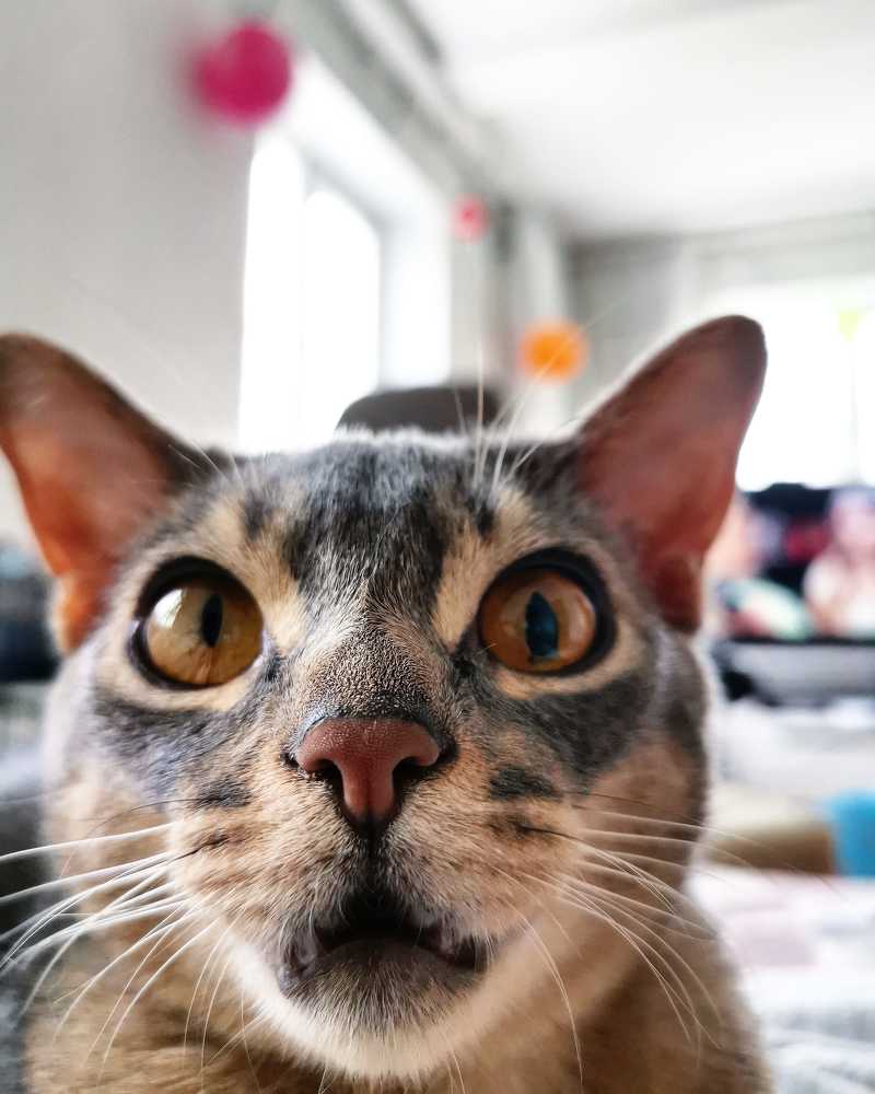 Photograph by Павел Ткаченко