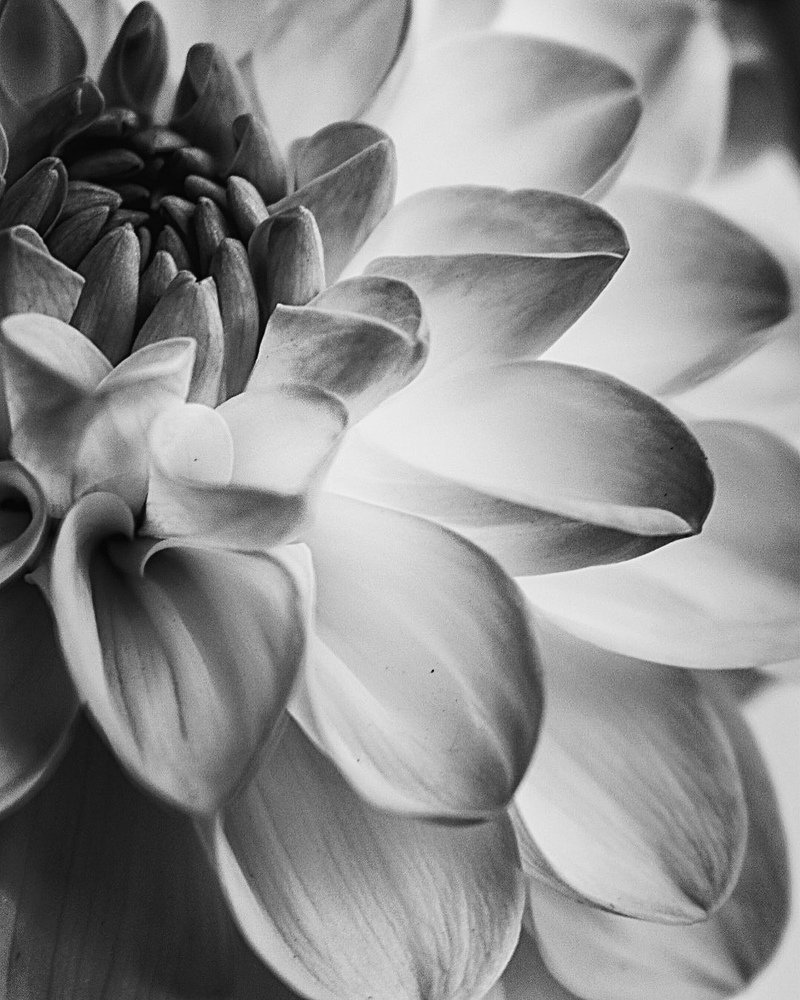 Photograph by Kira Bahvalova