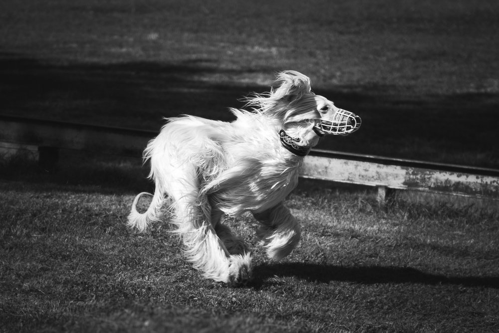 Photograph by Evgeniya Stafeeva