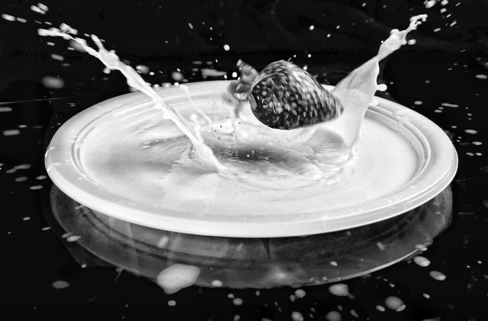 Photograph by Sax Palumbo