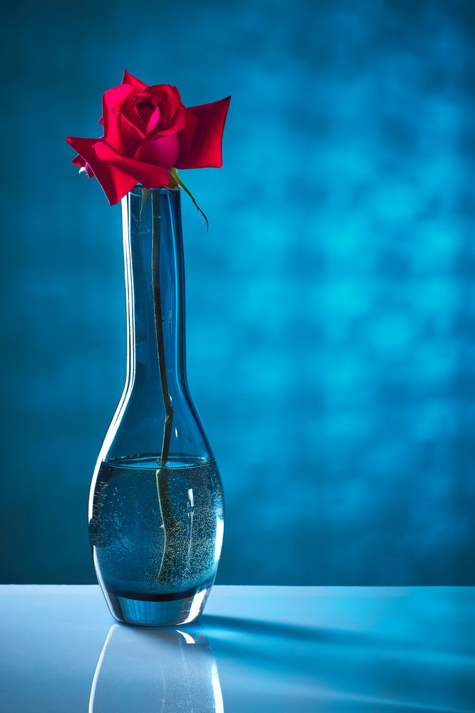 Photograph by Алексей Курочкин