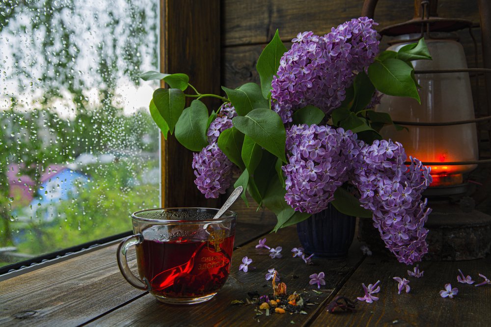 Photograph by Игорь Смирнов