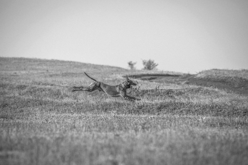 Photograph by Галина Ледок