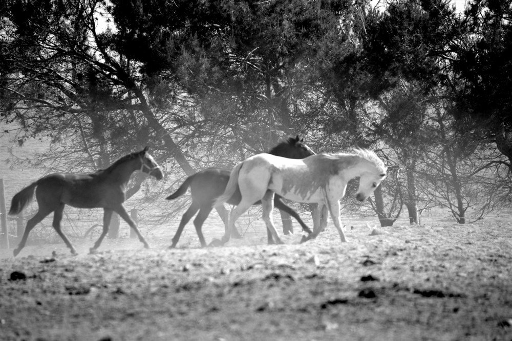 Photograph by Dasha Chovancova