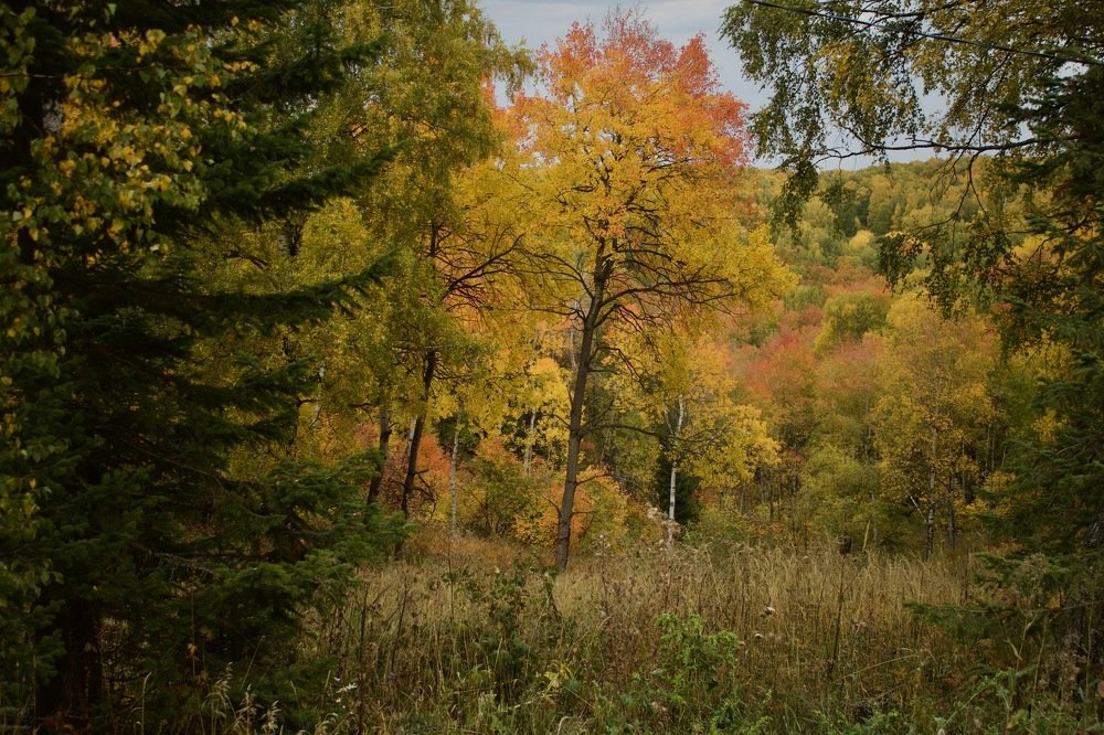 Photograph by Анастасия Полищук