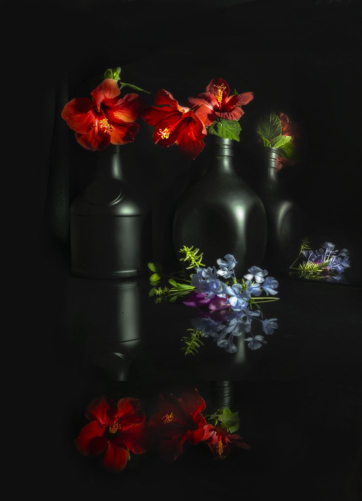 Photograph by Ilya Spektor