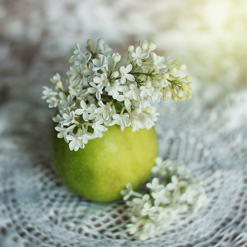 Photograph by Nadezhda Olefe