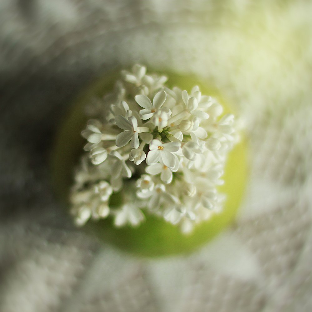 Photograph by Nadezhda Olefe