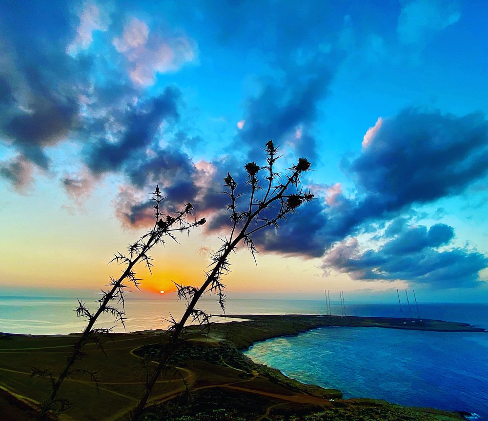 Photograph by Iulian Moldovan